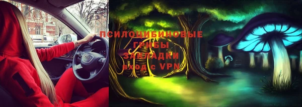 mdpv Карталы