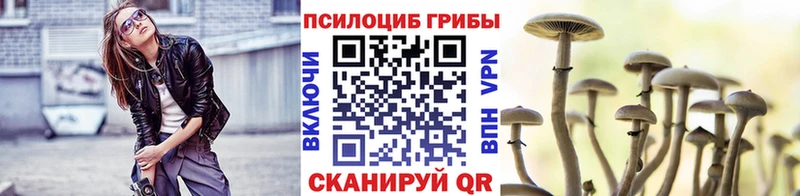 Галлюциногенные грибы GOLDEN TEACHER  цены наркотик  Трёхгорный 